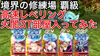 火闇3TでLv.600解放も恐くない?
