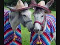 Click here to watch this video For Issachar.(Repent.)