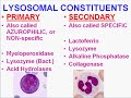Medical School Pathology, Chapter 2d
