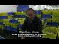 the-NESTLE-empire-we