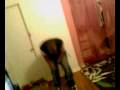 ^W3!rD0z^ TV: FlYy SkYy Freak Dance