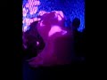 BUTTERFLIES -Kim Aviance