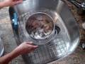 videos de How to Make Salt and Pepper Shrimp
