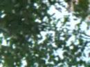 Parler, société bavarde disais-tu. Nous on entame l'ère glandeuse entre les bars et le vent. Entre deux -- entre nous. Entre les rideaux du monde tirés froissés des gens bien-pensants -- bien heureux -- qui se sont cachés des gens comme toi comme moi comme lui avec leurs mots idiots leurs mots utopiques gravés dans leurs peaux. Leurs peaux d'enfants bien lisses mais pas trop sages. Ils voudraient casser les images du bonheur, leur malheur leur douleur. Puis juste prendre l'instant, la douceur -- dans un hamac -- étalé sur le tarmac. J'ai ma langue dans ma poche. J'y ai plus grand-chose. Plus de carte, plus de mots, plus de petit paumé. Adieu Lyon.
