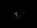 Mad Professor Live At Chateau Lacour