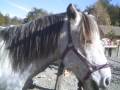 mon bb