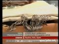 Видеоновость ТОРГОВЛЯ ОРГАНАМИ В УКРАИНЕ‬‎