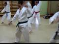 Karate-Do Shotokai Alpujarra