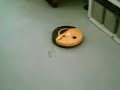 psychotic-roomba-dirt-dog.html
