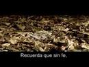 Motivacion Motivacion