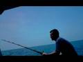 Sail Fishing 3