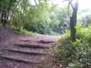 vtt dirt
