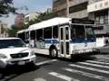 MTA Bus : Orion V CNG 9945 On The Q66 & 9913 On The Q34