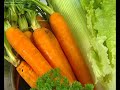 Kuhamo s Olivitom - Vlasta Ramljak Kuhamo s Olivitom - Vlasta Ramljak