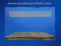 Fishing Show: Salmon fishing techniques - Angler\