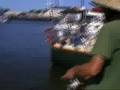 VERY RARE and elusive Bagfish!