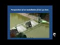 CareElectric - Animação II - Inglês