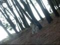 free riders rogil