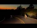 Longboarding Cadillac Mountain: Original Longboards