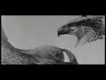 harry-potter-behind-the-scenesgrowing-up.html