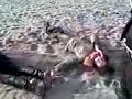 Tess en Nans op het strand !(H) Tess en Nans op het strand !(H)