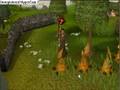 im back on rs.wmv