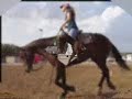 Hail On Wranglers aka: \"Tony Romo\" AWESOME finished reiner!! Hail On Wranglers aka: \"Tony Romo\" AWESOME finished reiner!!