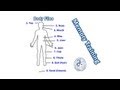 Create Body Memory Files | Memory Training to Memorize Numbers | Brain GYM | USA Championship