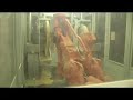 Bob Taylor: American Luthier : DVD Preview