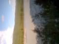 videos de MAV 0011