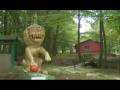 Shaolin Falu bemutatkozó kisfilm