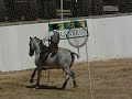 working equitation. speed test. beja, portugal. april 2008. 
the rider is the amazing pedro torres and the horse is the fantastic oxidado - my favorite horse of all. he is a lusitano.
