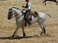 working equitation speed test. Beja 2008.