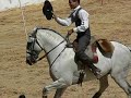 working equitation. speed test. beja, portugal. april 2008. 
the rider is the amazing pedro torres and the horse is the fantastic oxidado - my favorite horse of all. he is a lusitano.