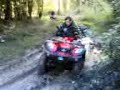 Quad dienne 3