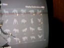 MGS4 All 40 Emblems.