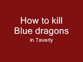 Blue dragon guide in taverly