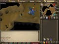Blue dragon guide in taverly