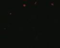 1080 Live! - Saw