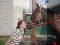 Tribute to Satine RIP