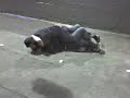 The Beast Carry and Alix Ross Scrappin on Sauchiehall Street The Beast Carry and Alix Ross Scrappin on Sauchiehall Street