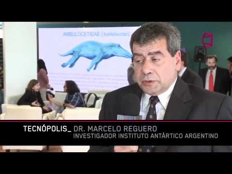 Tecn�polis - Hallazgo Paleontol�gico