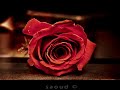 اسمعك راشد الماجد 4u