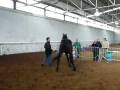 Stallone Nil da Danehill e Padula a Sassari 2008 1.MOV