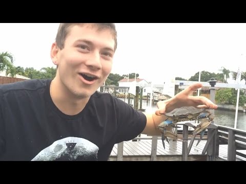 Pranking Bajan Canadian! Crab Prank!
