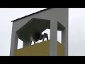 Zvonjenje u 18 sati na dan proslave zalosne Gospe u Canicima...
