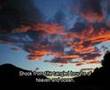 Ode to the West Wind by P.B.Shelley