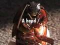 Hissing cockroaches