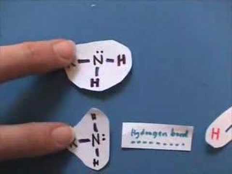 how to draw hydrogen bonding