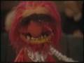 Dallas Muppet
